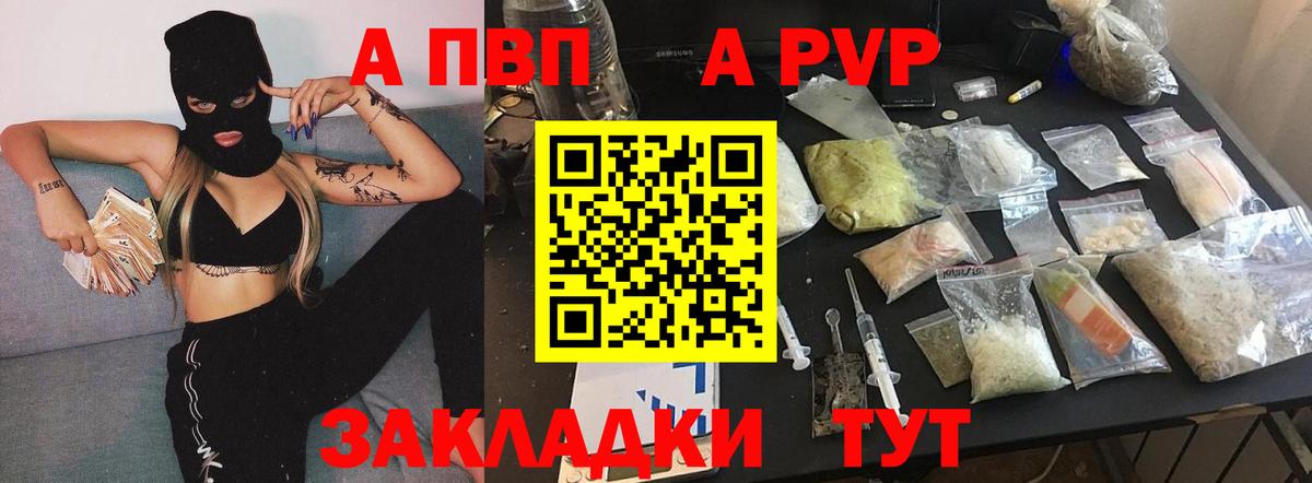 Альфа ПВП СК Дагестанские Огни