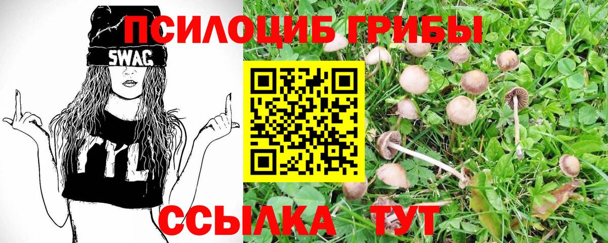 Дагестанские Огни  Галлюциногенные грибы Magic Shrooms  Вход с VPN 